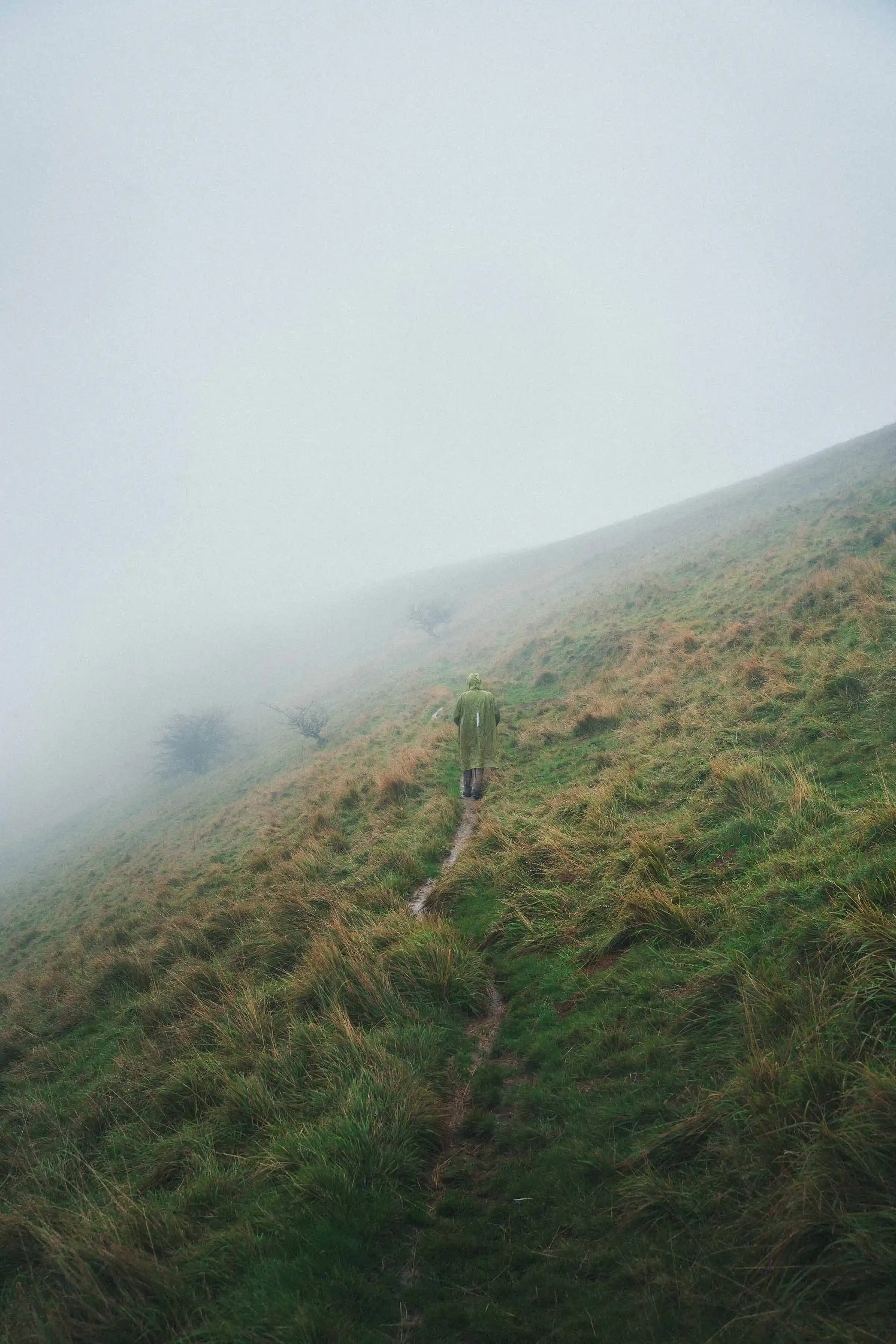 Men walking in the foggy mountain